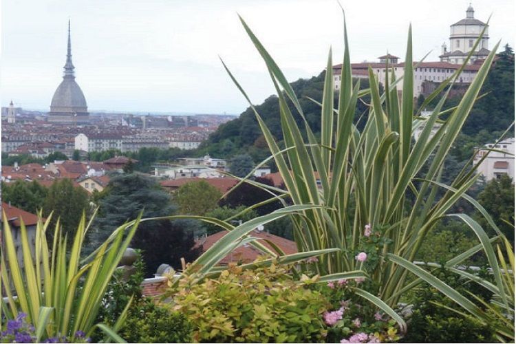 progettazione di giardini e aree verdi a Torino e provincia con Gardeland