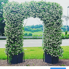 progettazione di giardini a Torino