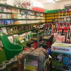 vendita piante e semi a Torino 