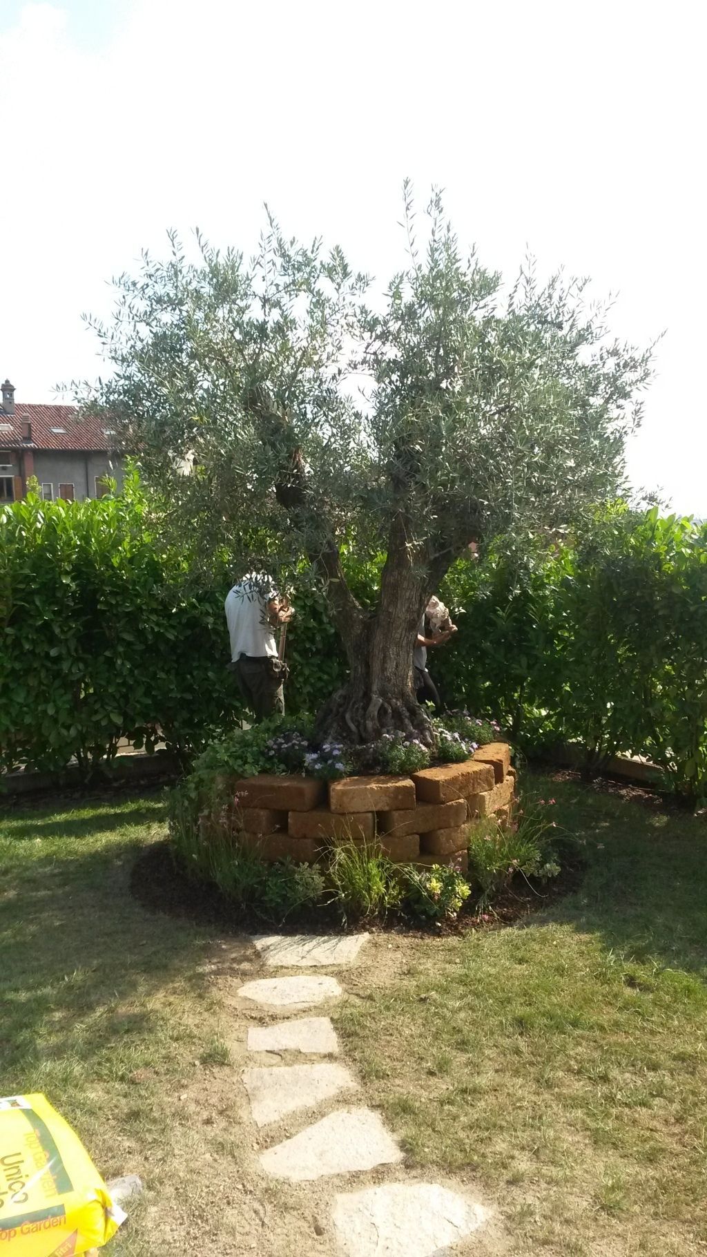 progettazione di giardini e aree verdi a Torino e provincia con Gardeland