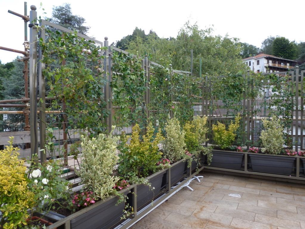 progettazione di giardini e aree verdi a Torino e provincia con Gardeland