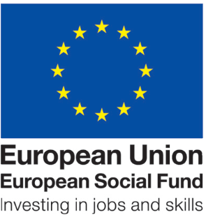 European Union logo