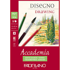 immagine relativa al materia ACCADEMIA