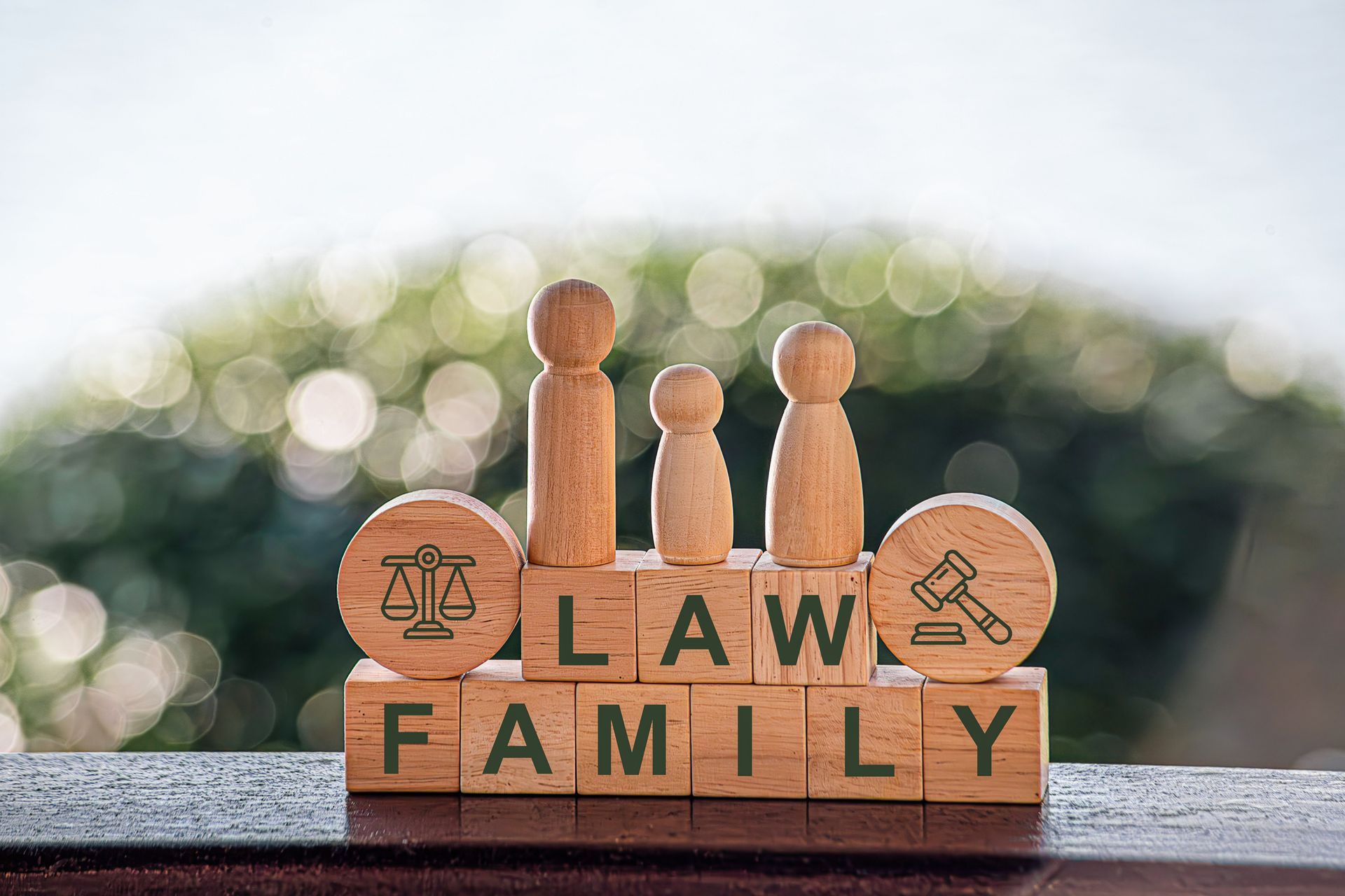 Family Law Concept — Monroe, MI — Apex Legal Group