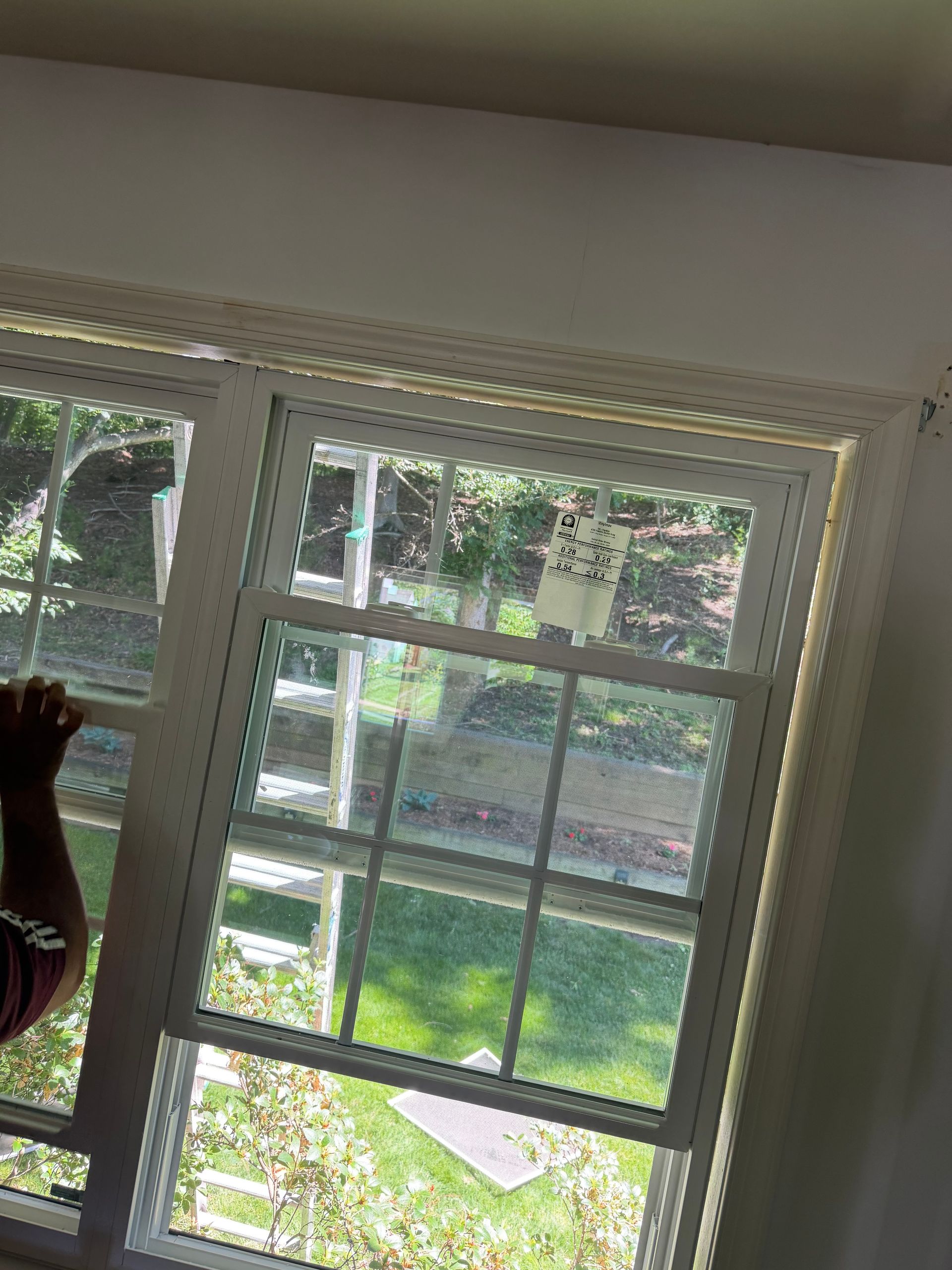 Sunlit window with white blinds overlooking a green yard, with a person’s arm at the left edge.