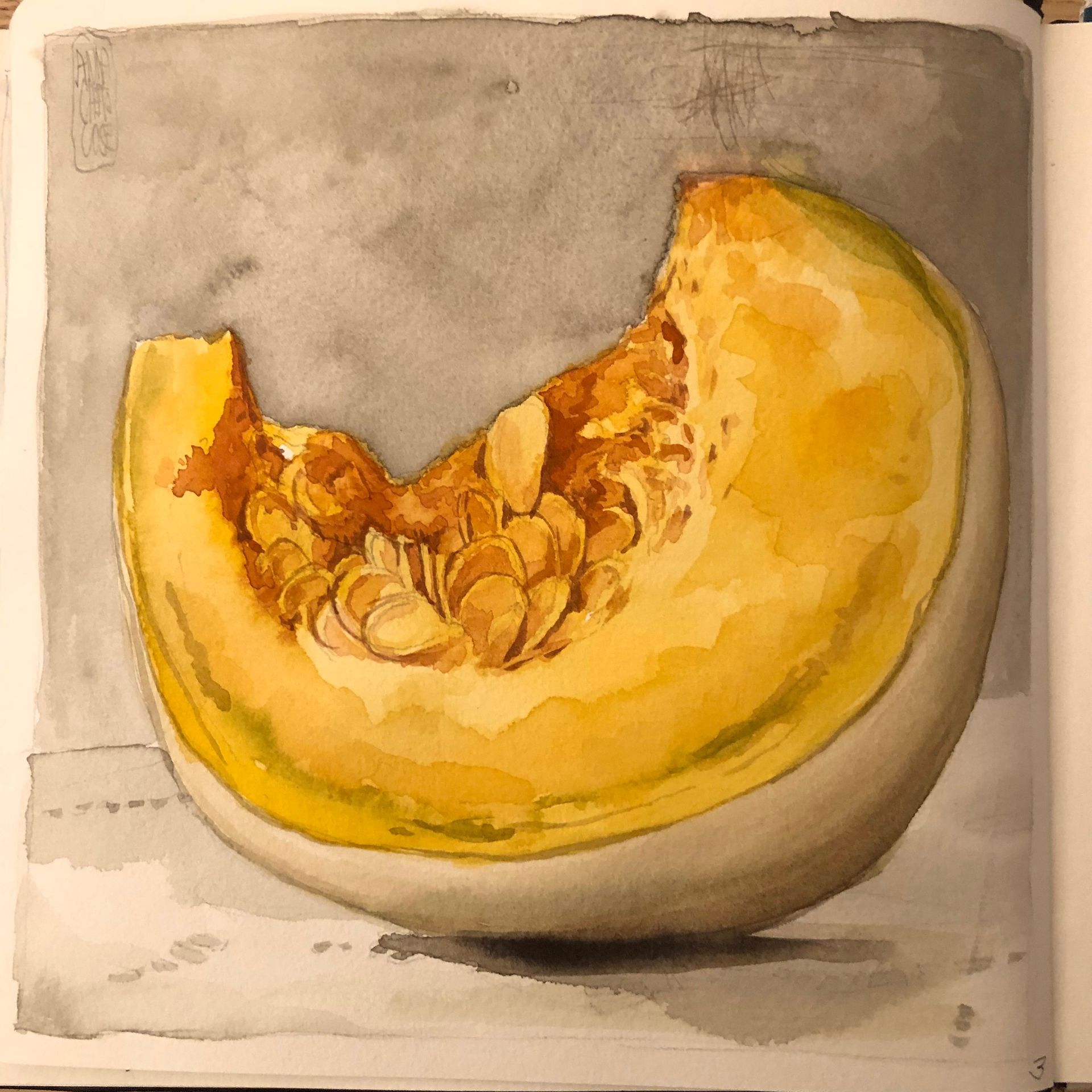 fetta di zucca, dipinto ad acquerello