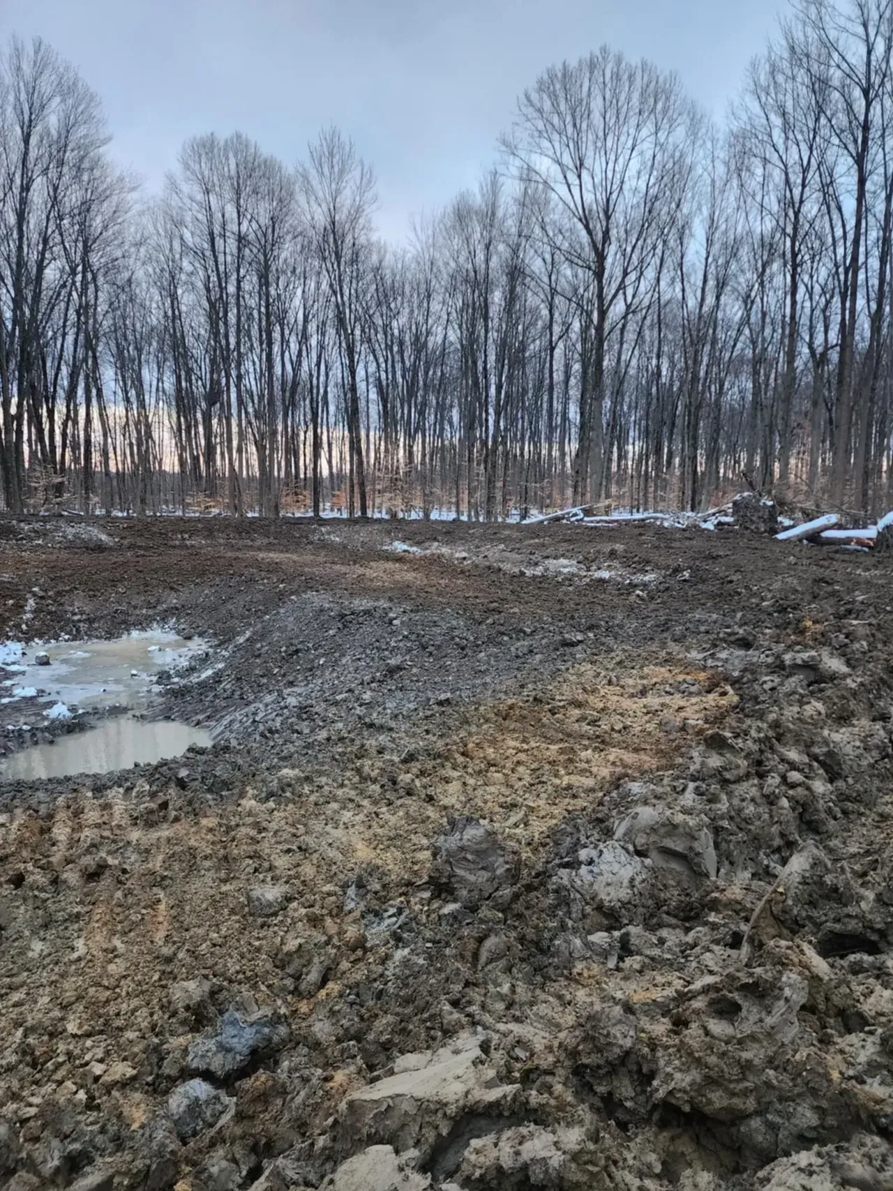 Dirt field with a puddle in front of a leafless forest under a cloudy sky.