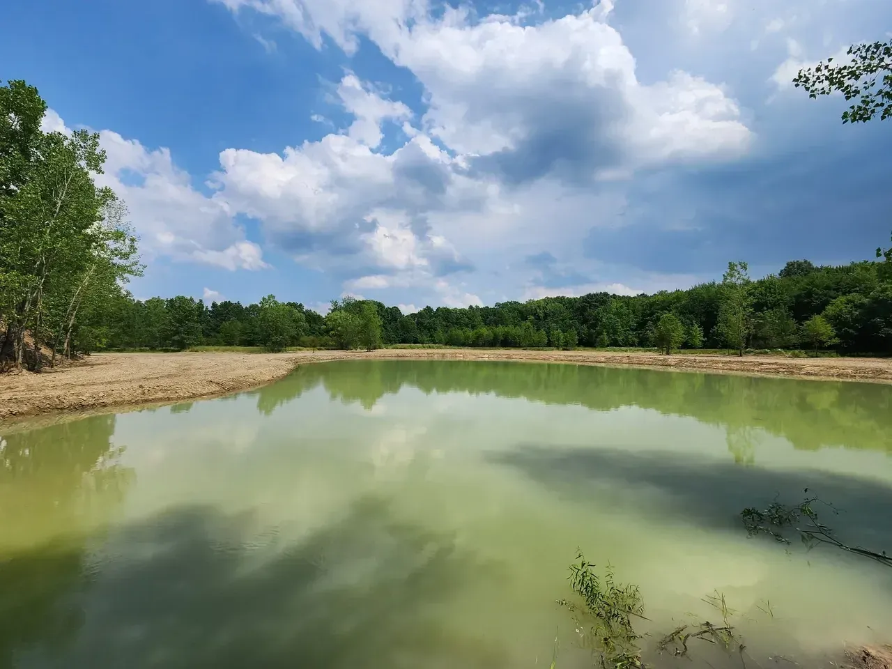 A calm, green pond reflecting a cloudy sky, surrounded by sandy banks and a treeline.