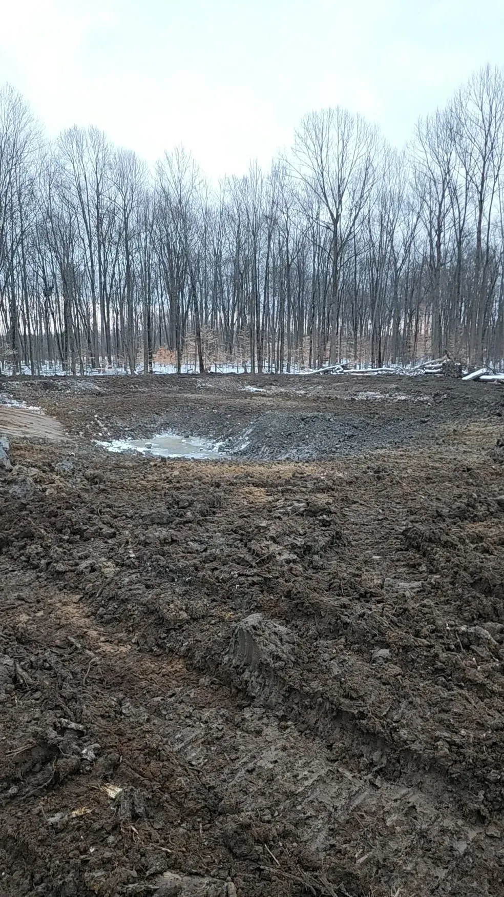 Muddy field, partially flooded, with a backdrop of bare trees, likely in winter.