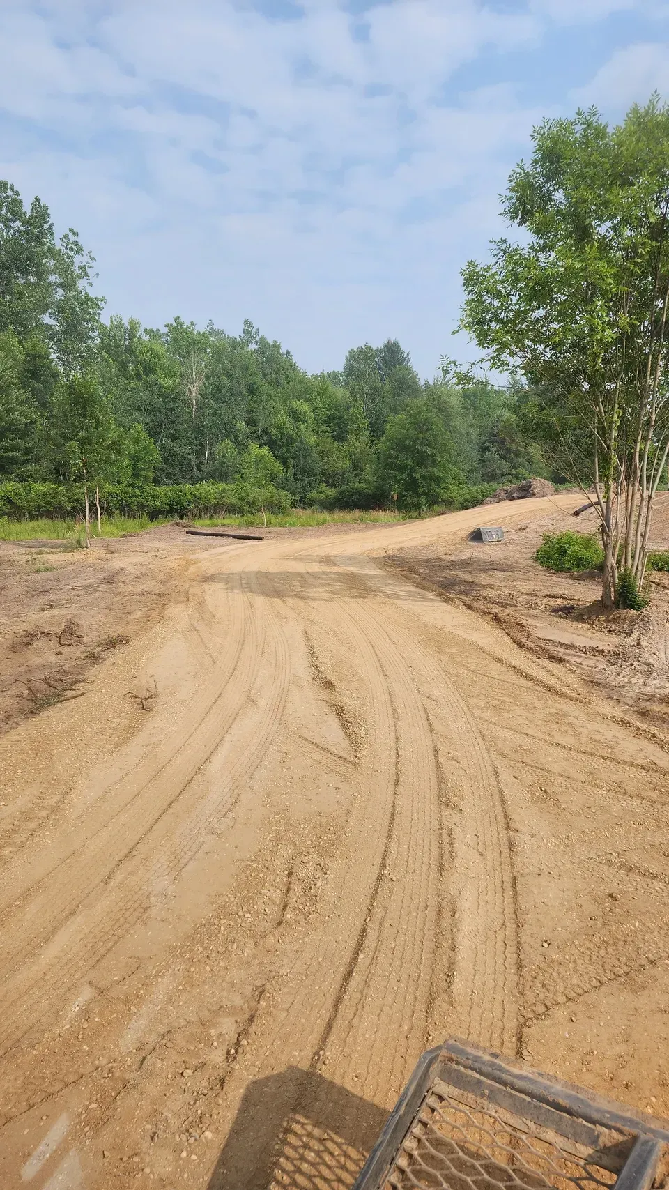 Dirt road through a forested area on a sunny day. Tire tracks in the sandy surface.
