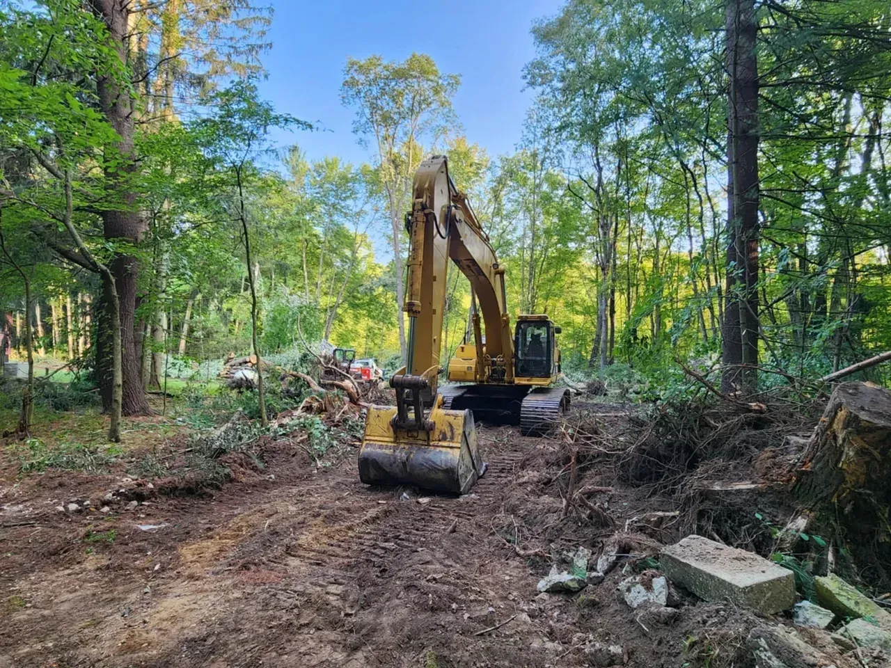Yellow excavator clearing brush in a forest setting with trees and debris.