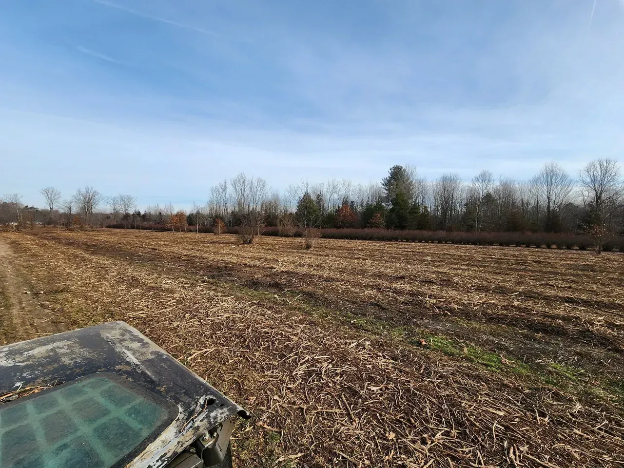 View from a tractor cab of a harvested field. Brown crop debris covers the ground. Trees line the horizon under a blue sky.