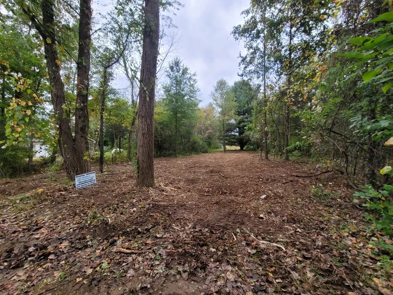 Clearing in a wooded area covered with fallen leaves, surrounded by trees under a cloudy sky.