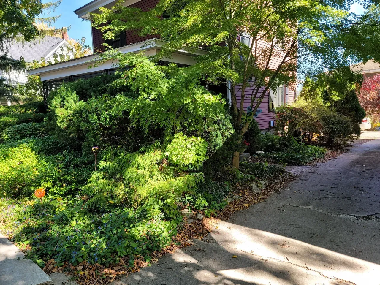 House exterior with overgrown green shrubs and a small, cracked driveway.