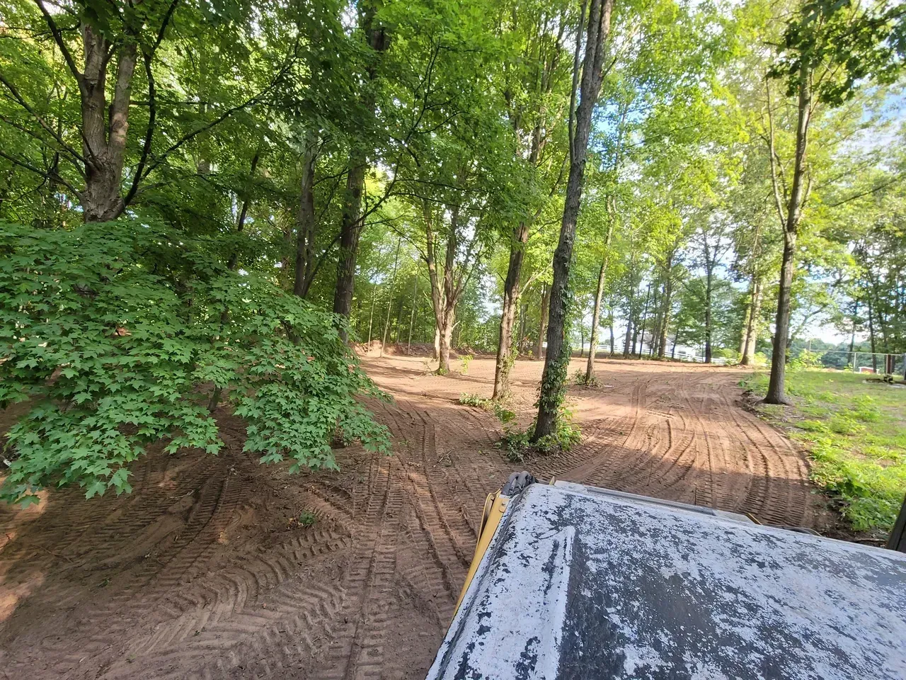Clearing in a forest, showing freshly tilled soil between trees. Bright sunlight.