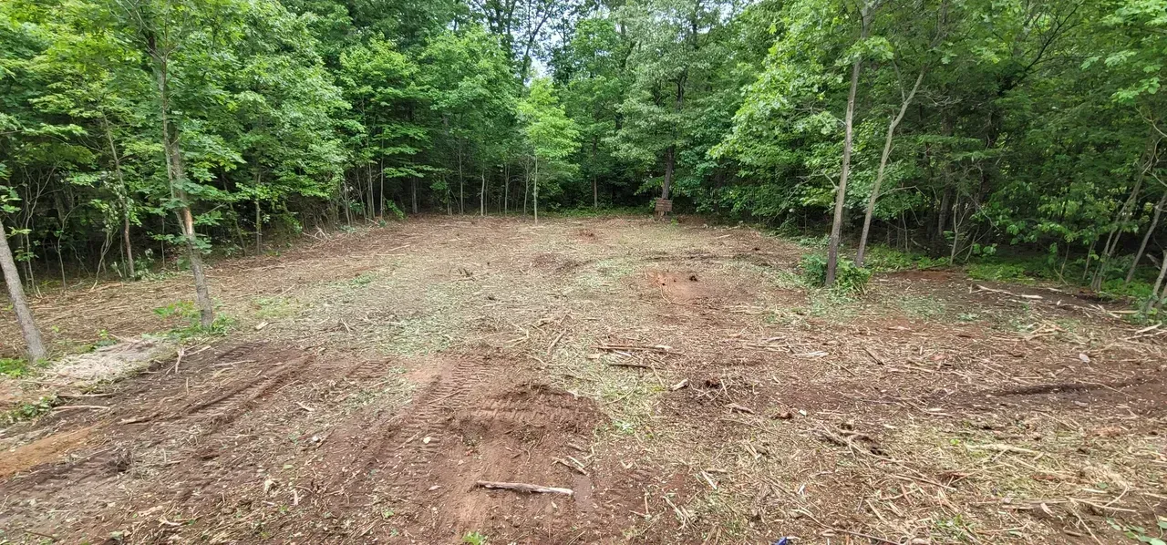 Cleared forest area with a border of green trees. The ground is covered in dirt and debris.