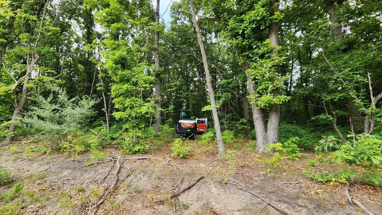 Mini excavator in a wooded area, surrounded by trees and foliage.