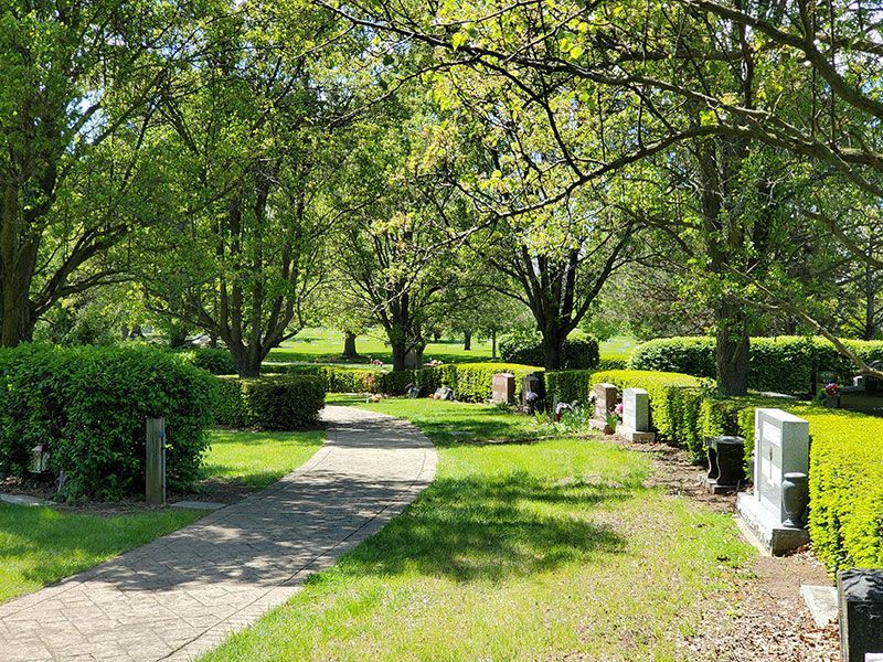 Trees and path through cemetery