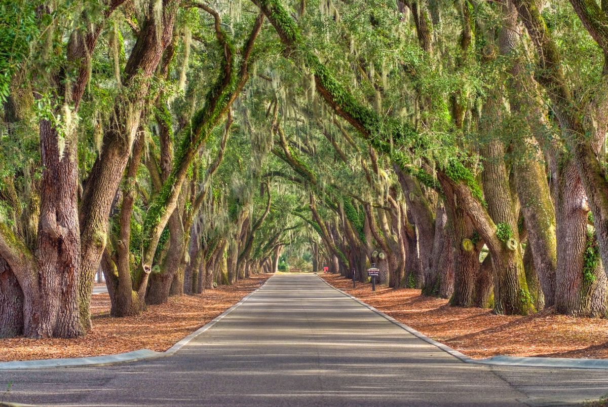 Belfair Front Entrance Bluffton South Carolina