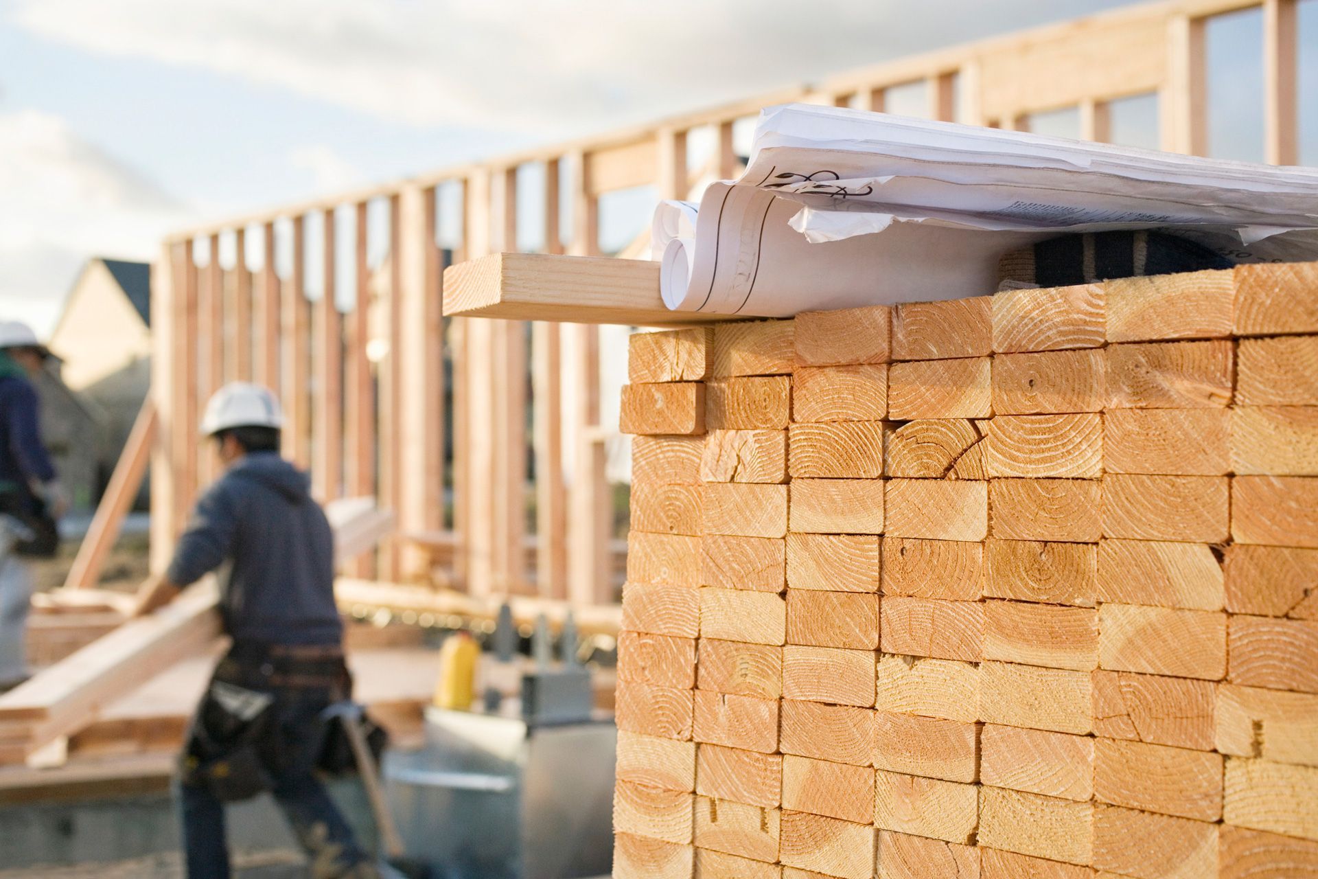 Woods for House Framing — Murray Bridge, SA — Response Building Group