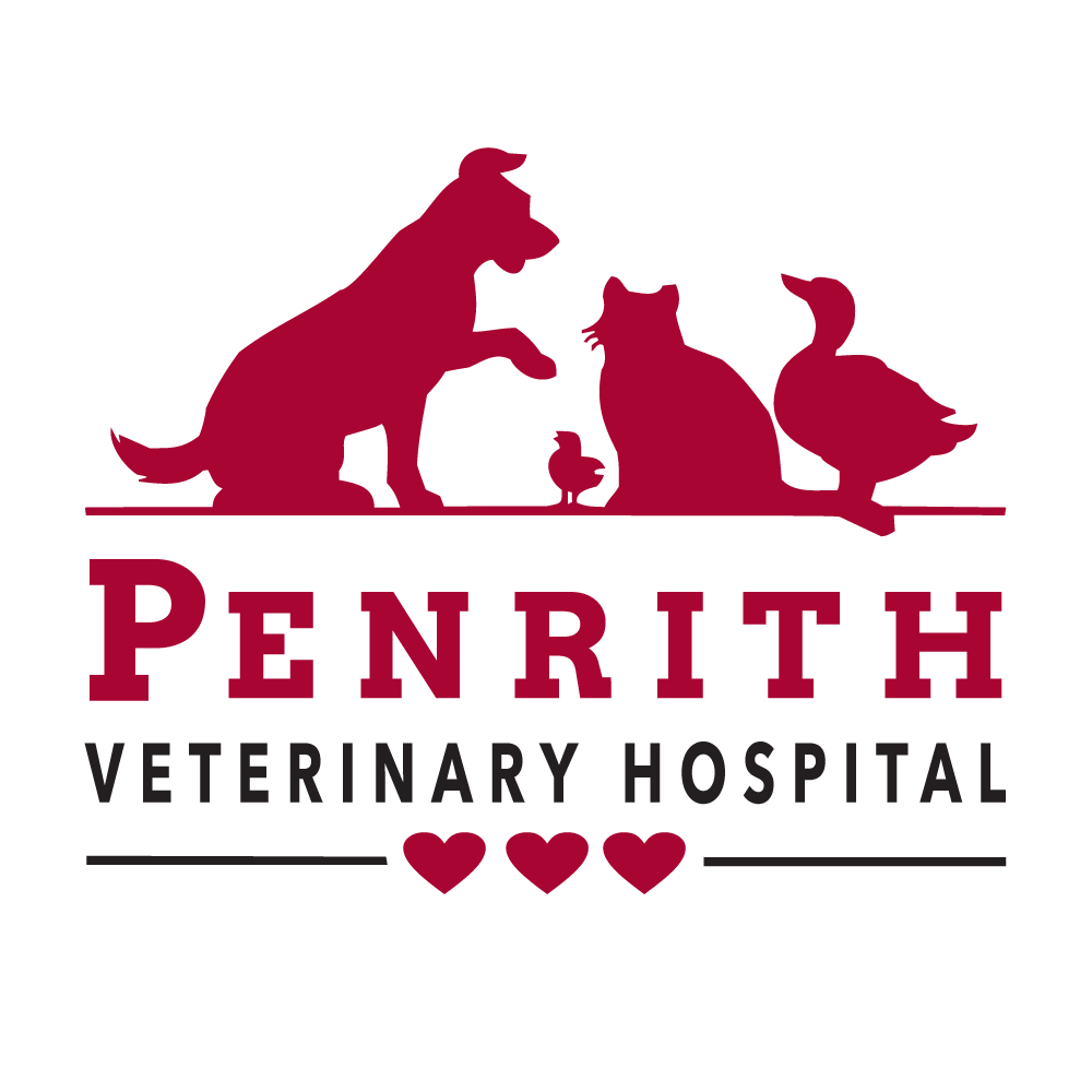 penrith veterinary hospital