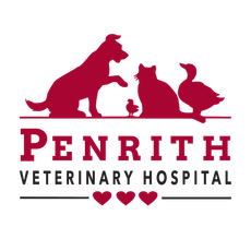penrith veterinary hospital penrith veterinary hospital