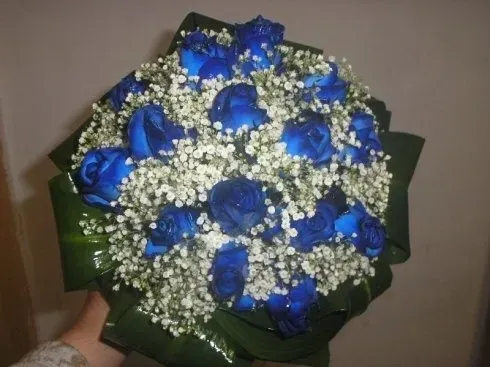Bouquet di rose blu con gypsophila bianca e foglie verdi, tenuto in una mano.