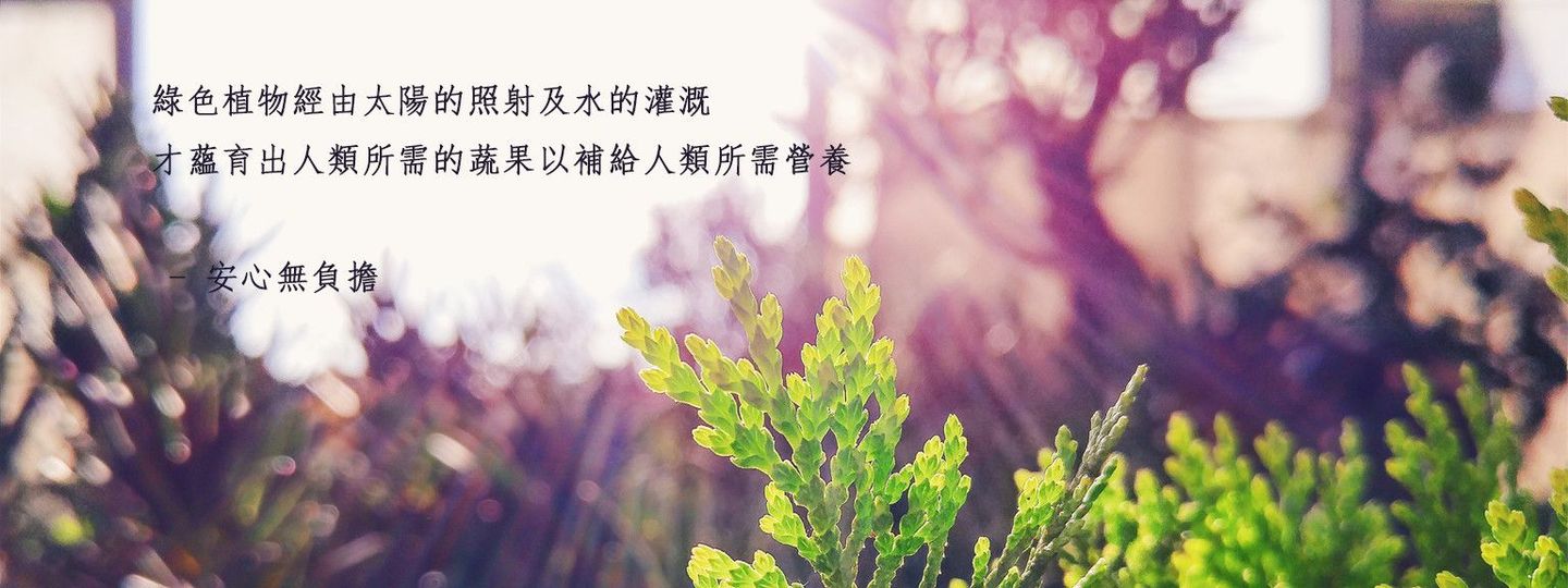 加密佳食品