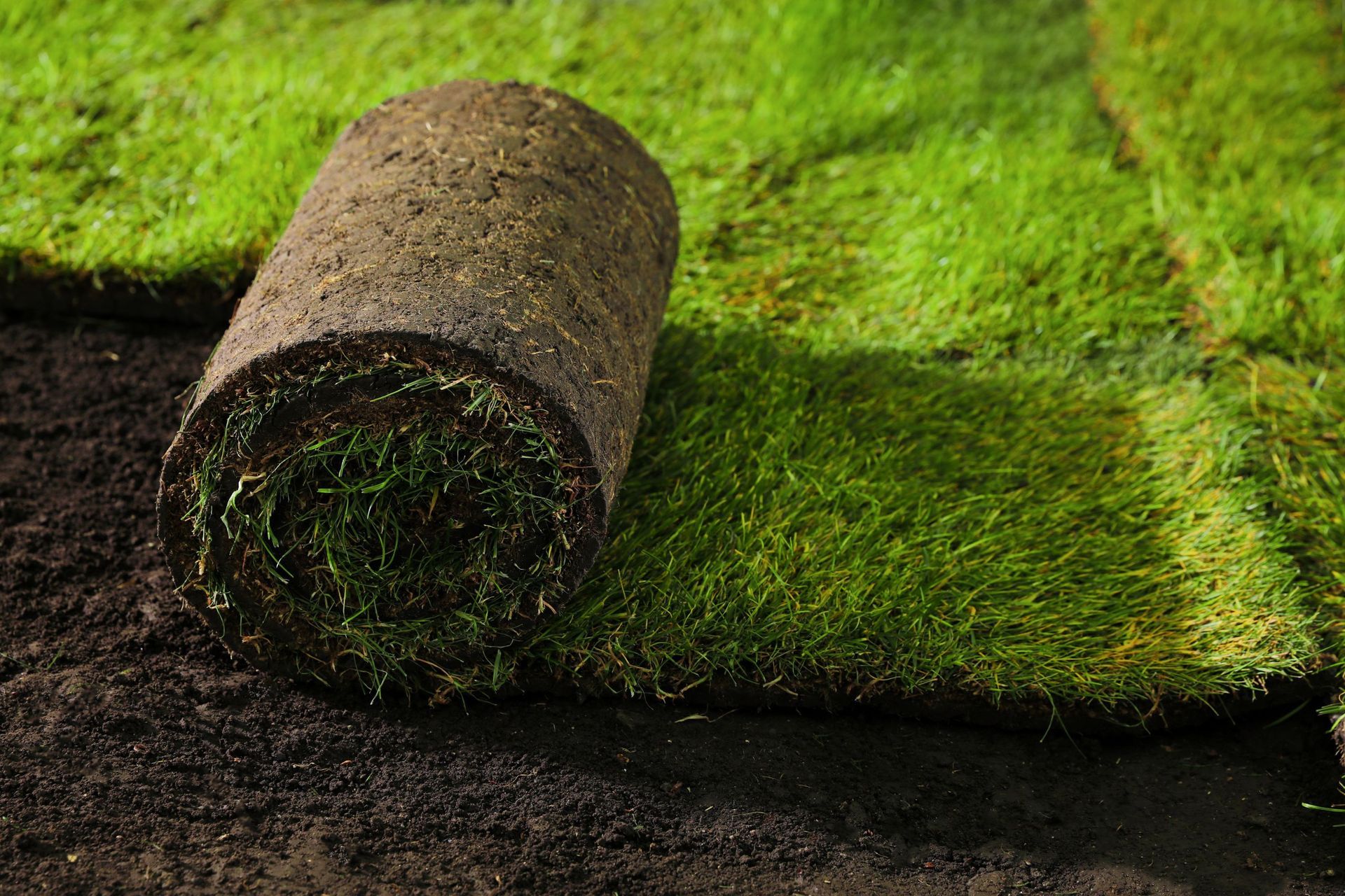 Rolled-up artificial grass on a bright green turf surface