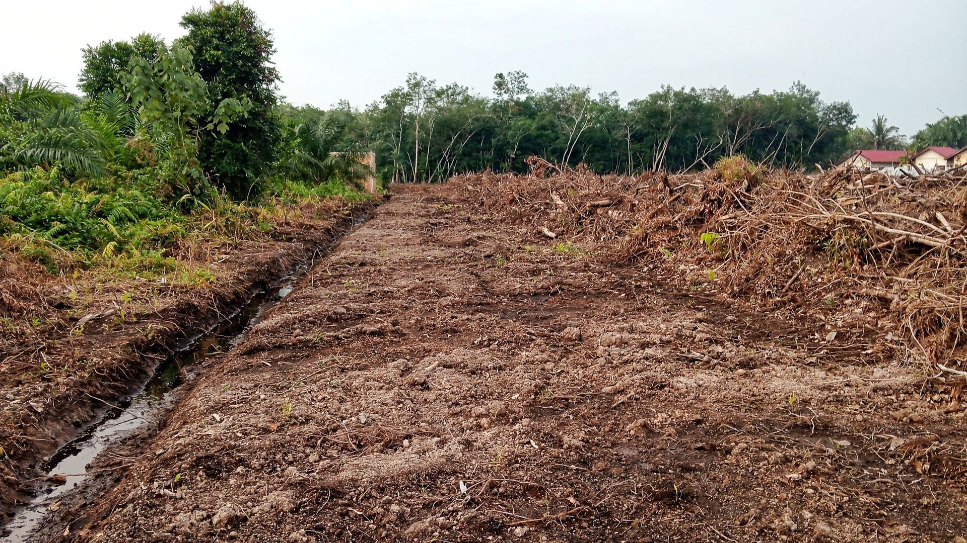 Recently cleared dirt road or path through a rural field, bordered by green trees and vegetation.
