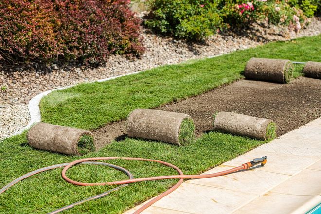 Lawn renovation area with rolled sod strips, bare soil, and a garden hose along a patio edge