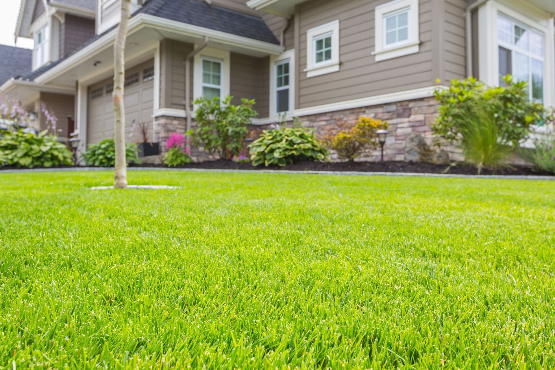 Suburban house with a lush green lawn, beige siding, and flowering shrubs along the front walkway