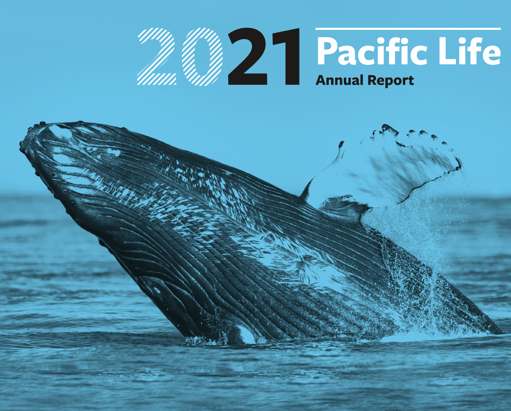 2021 Pacific Life Annual Report cover: a breaching whale in blue water. Text: 2021 and Pacific Life Annual Report.