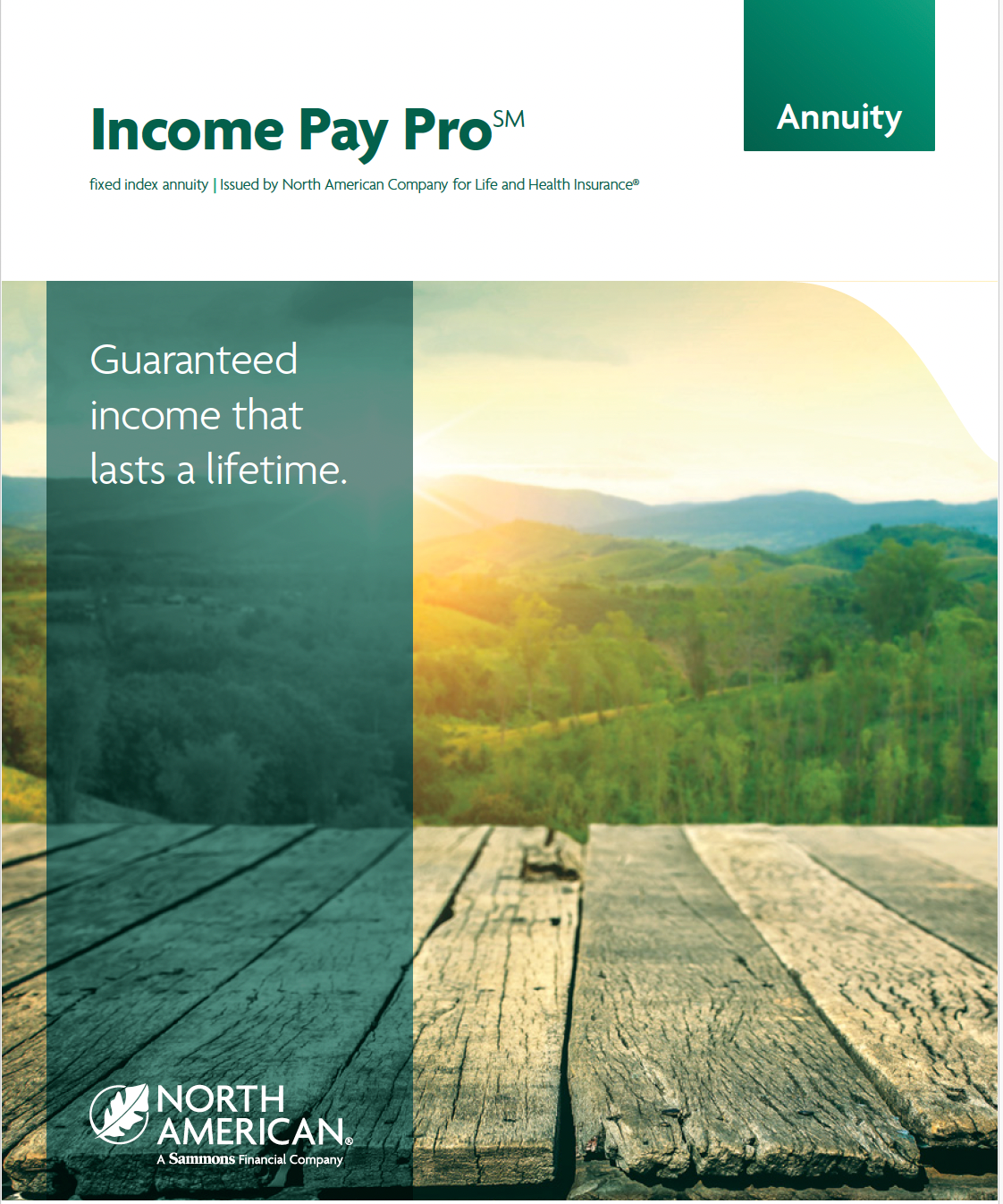 Brochure for Income Pay Pro annuity by North American Co. with landscape background and wooden planks, highlighting guaranteed lifetime income.