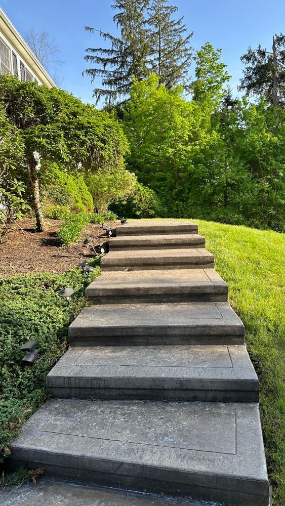 Concrete steps lead uphill through a landscaped yard towards trees under a bright blue sky.