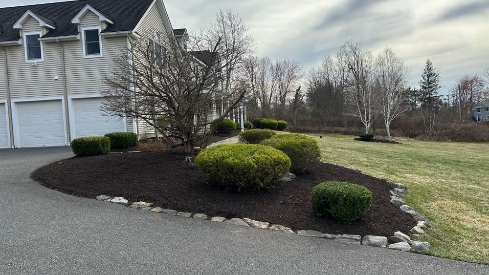 A landscaped front yard with a curved garden bed filled with dark mulch and green bushes, bordering a driveway in front of a house.