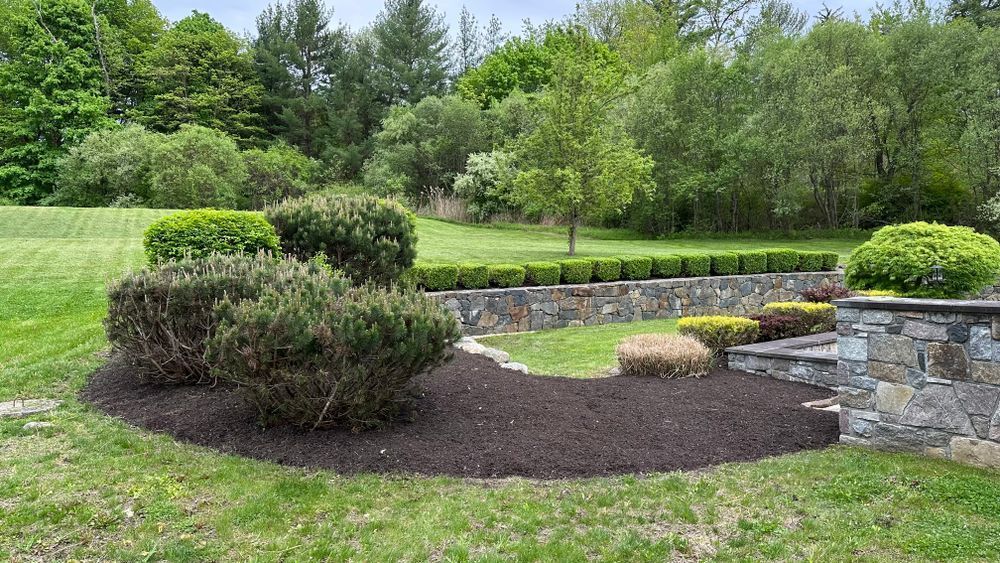 A landscaped garden with a stone wall and various green bushes and trees, surrounded by green grass, under a cloudy sky.