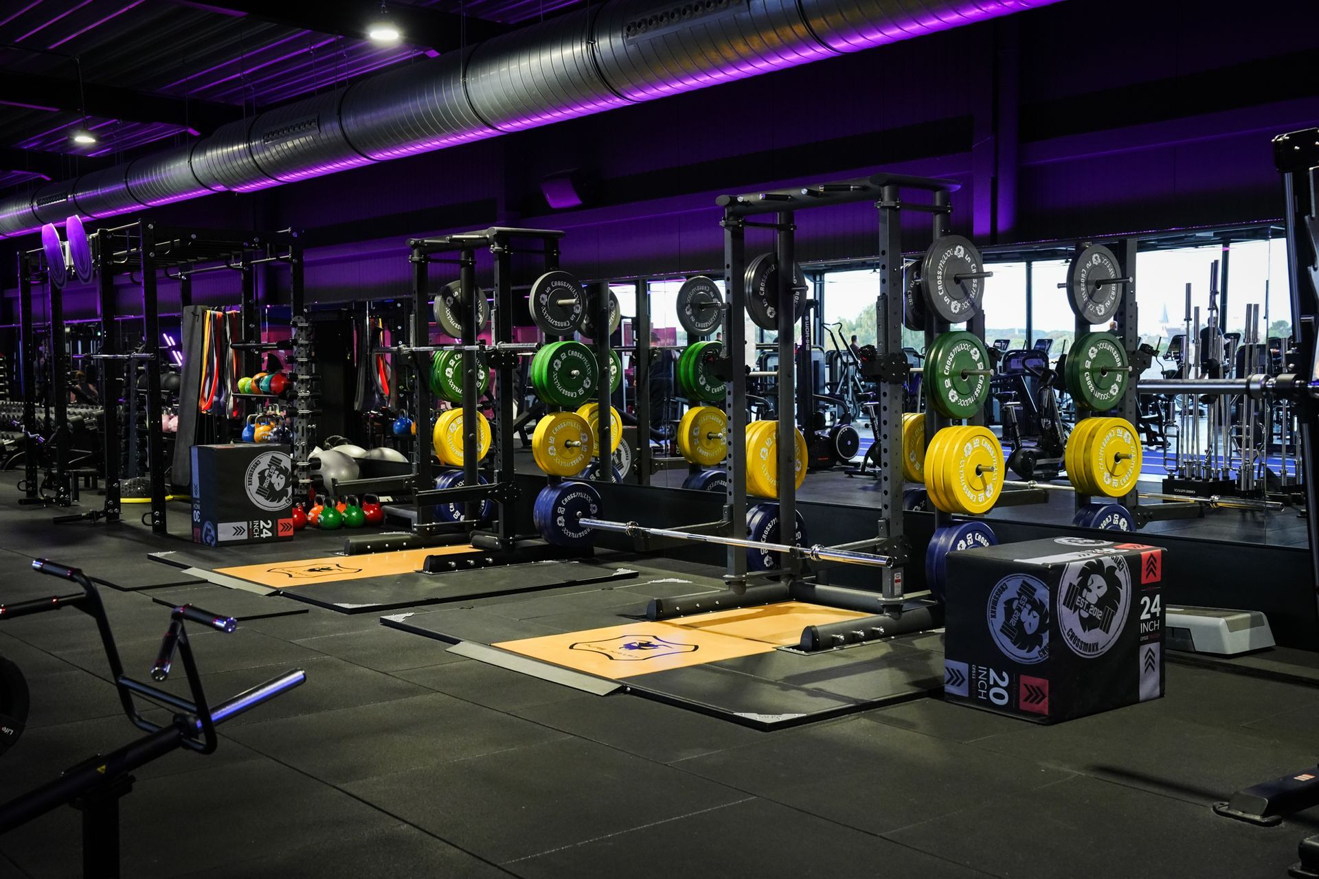 Fitness bij At My Gym Bree