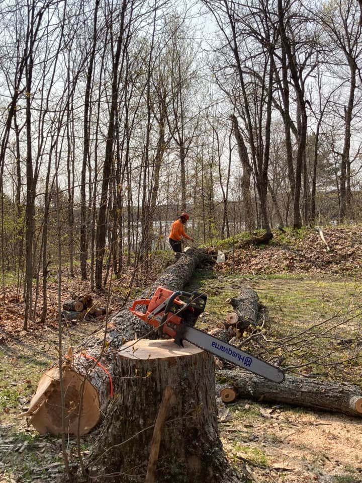 chainsaw sitting on cut tree with local arborist standing behind 
