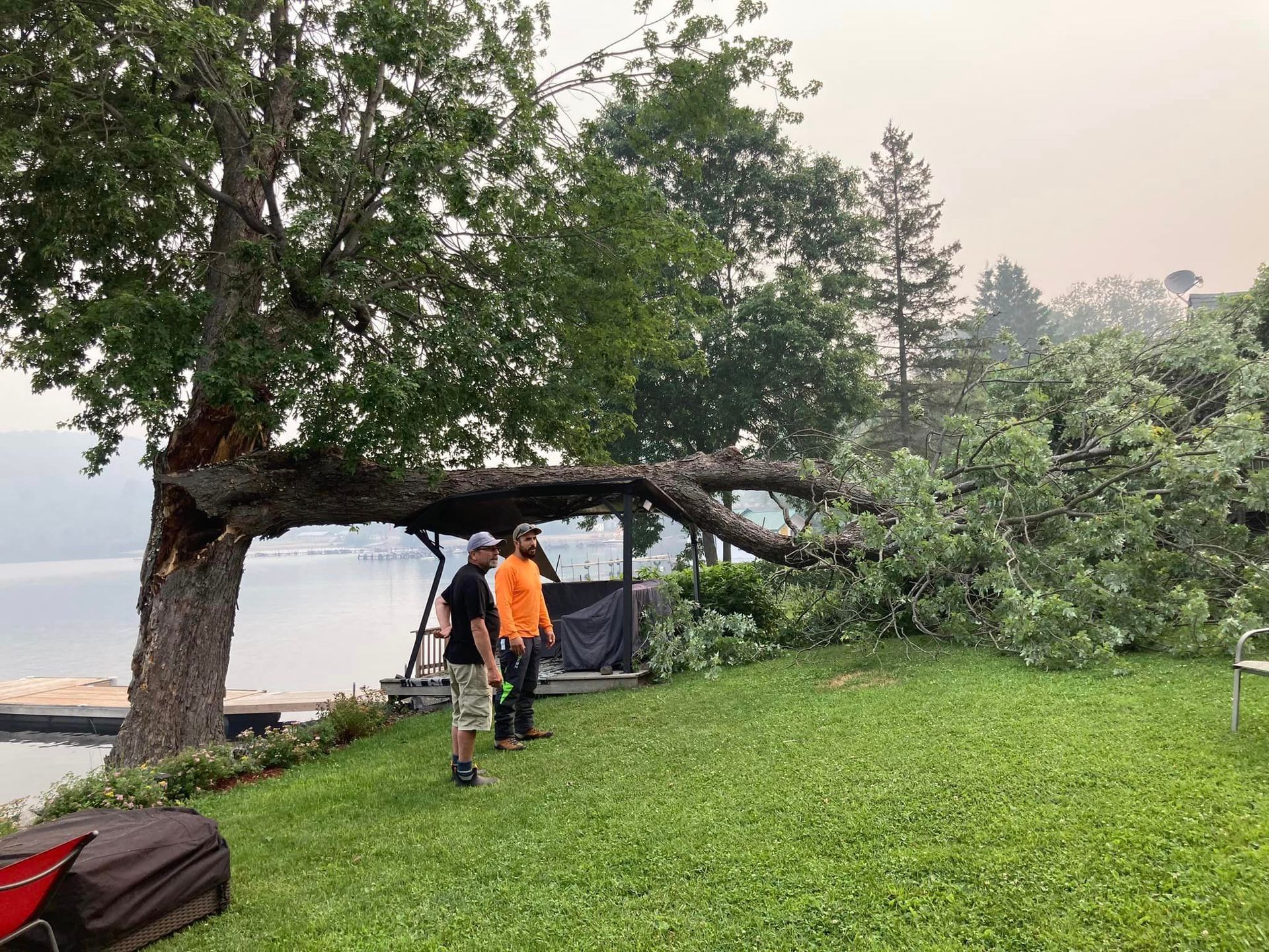 two local arborists standing in front of fallen tree