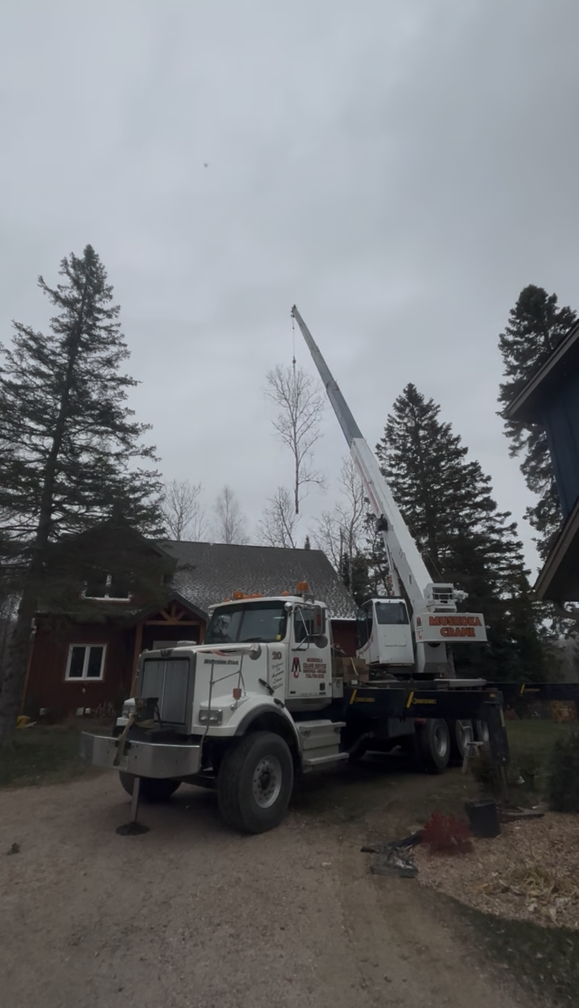 large white truck with crane performing tree services