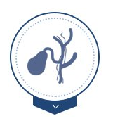 Gallbladder Disease