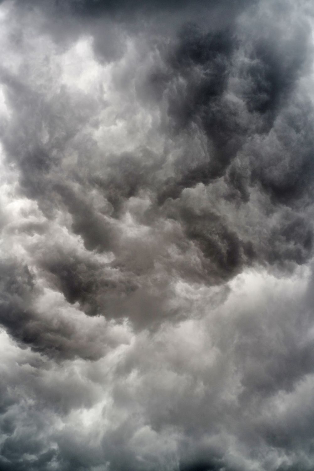 What Should You Do First After Storm Damage in Tysons Corner, VA?
