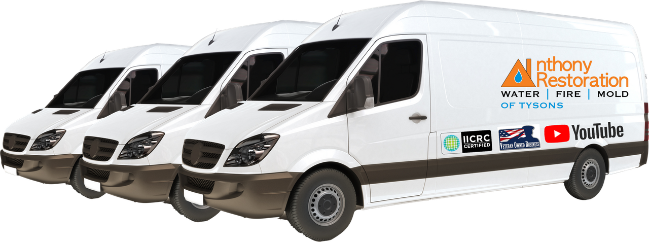 anthony restoration tysons vans