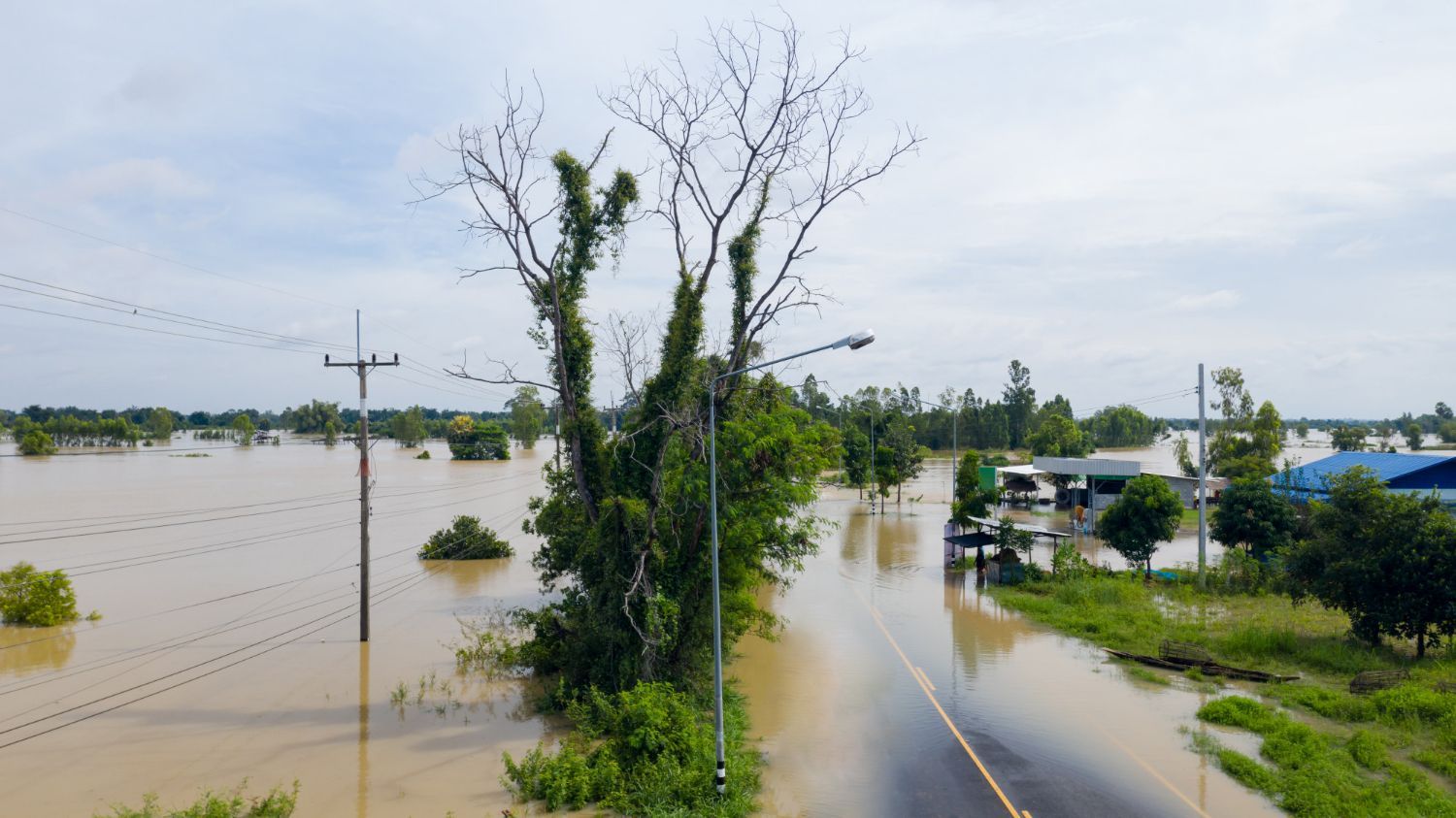 An aerial view of a flooded road with trees and power lines.