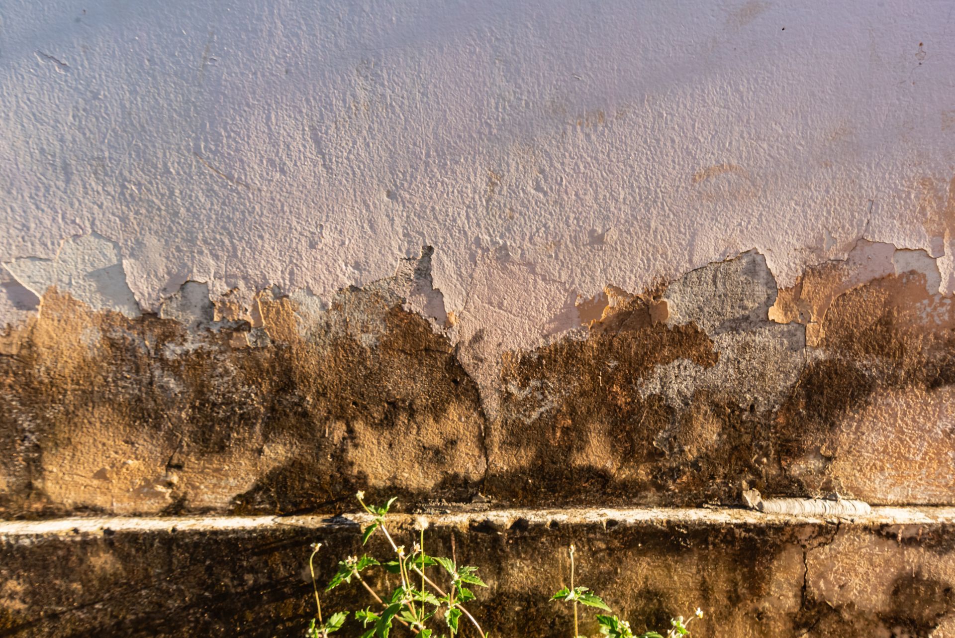 Why Fast Water Damage Restoration Protects Your Home and Your Budget
