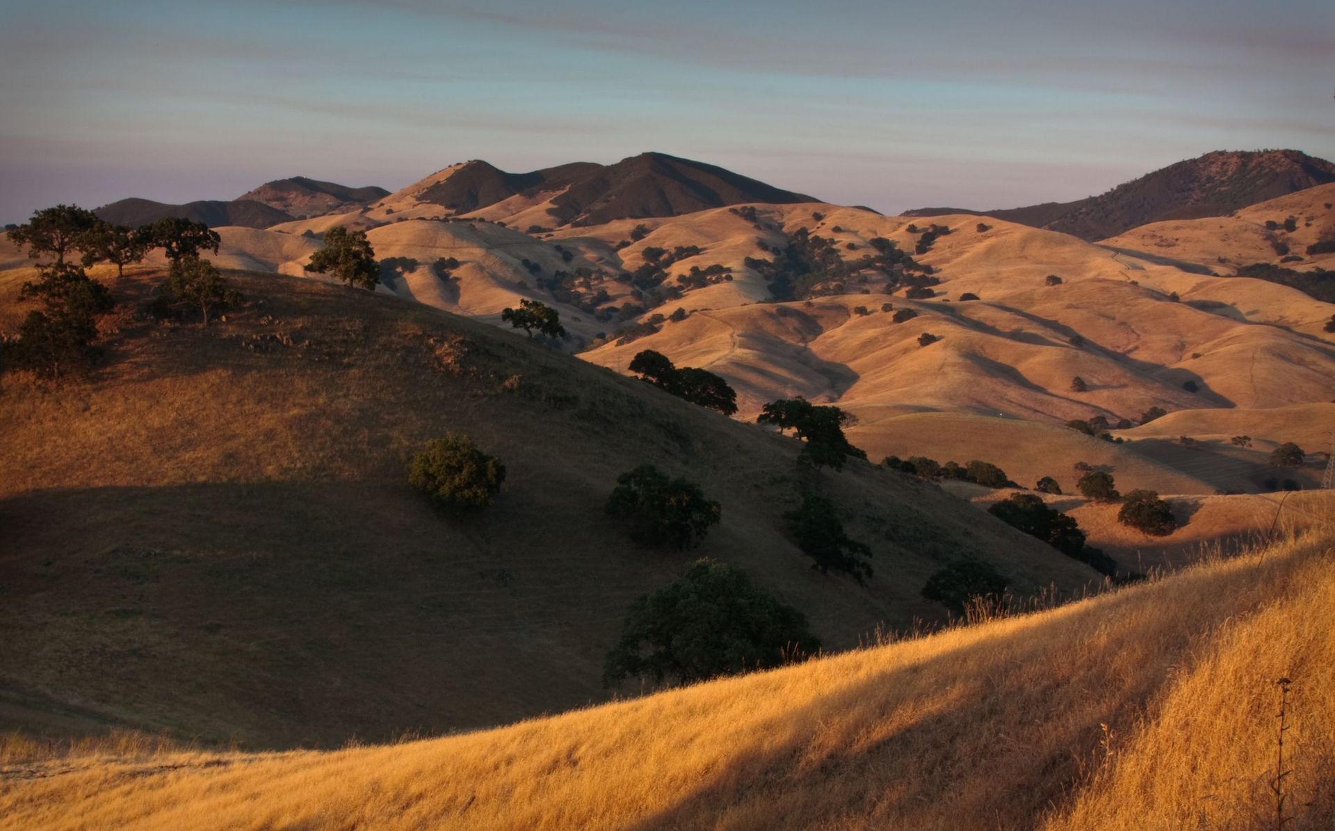 Rolling dry hills under an open sky