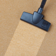 Domestic cleaning