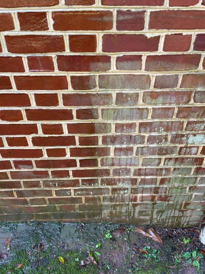 Close-up of a red brick wall with white mortar and a damp, stained lower section near the ground.