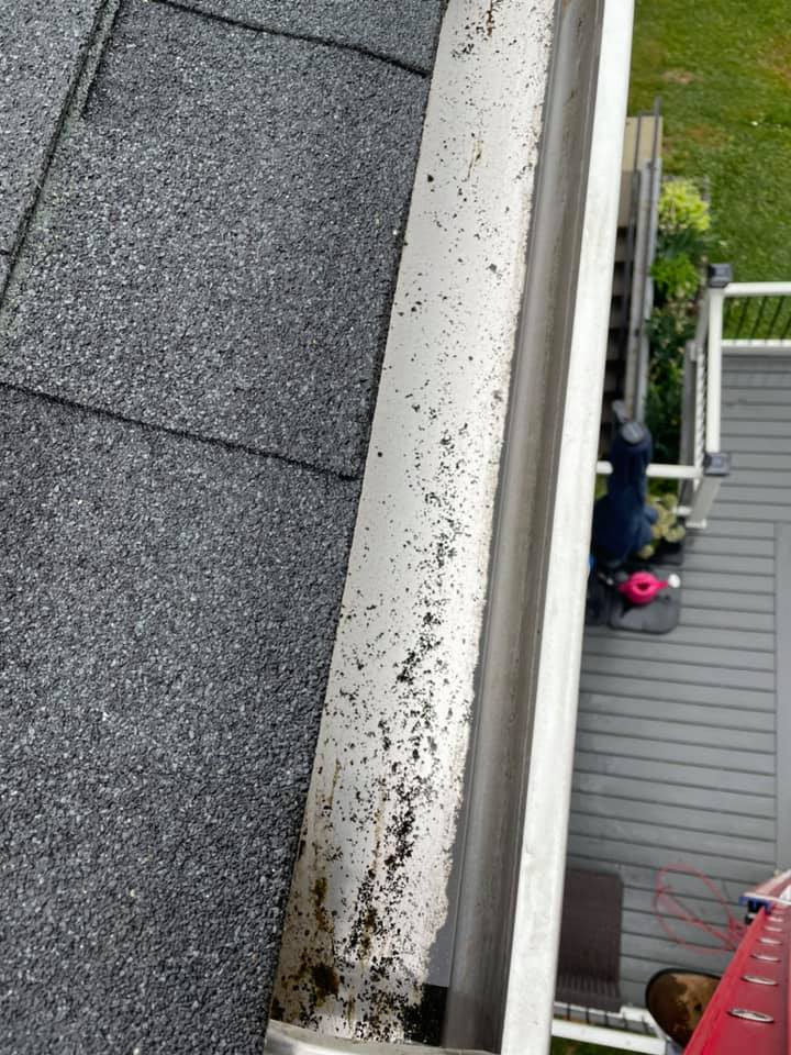 Dirty white gutter beside dark gray roof shingles, overlooking a deck and yard below